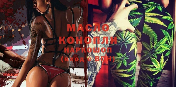 СК Алексин