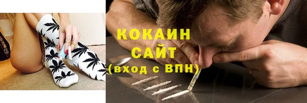 СК Алексин
