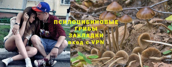 амф Абдулино