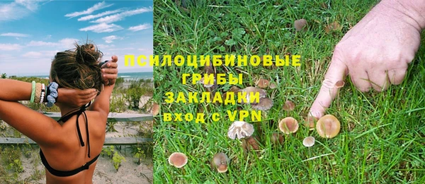 СК Алексин