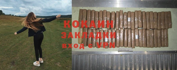 СК Алексин